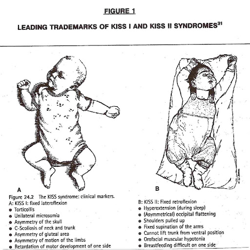 Everything You Need to Know About Taking Your Infant to a Pediatric Chiropractor in Portland, Oregon